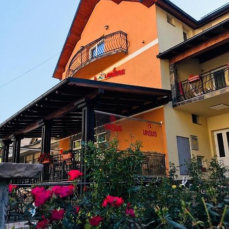 Pensiunea Montana Borsa Mm Băile Borşa Exterior foto